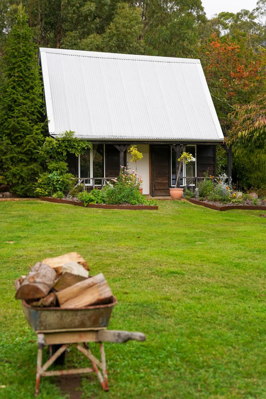 The Shanty cottage with its steep white roof among the garden